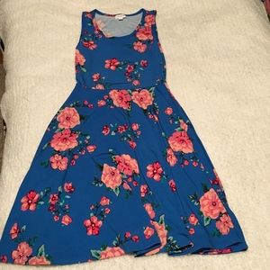 LuLaRoe | Nicki Dress | Blue Floral | Size XS